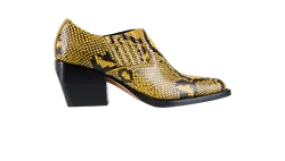 Chloe Snake Print Ankle Boots