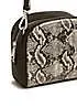 Radley London Arden Crescent Faux Snake Small Zip Around Crossbody