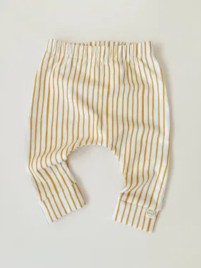 sunshine stripe leggings