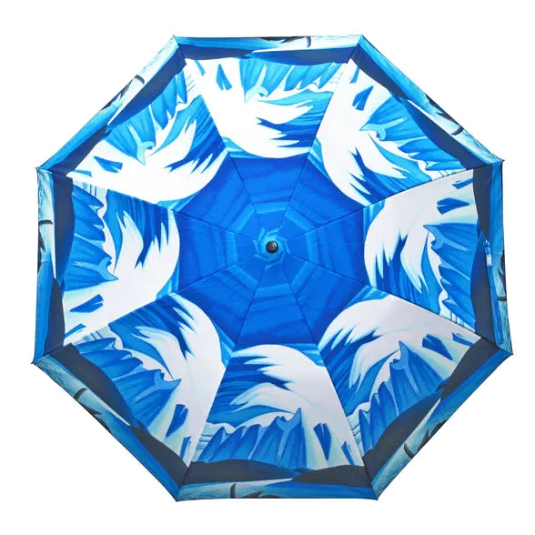 Various Umbrella