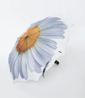 White Daisy Everyday Umbrella