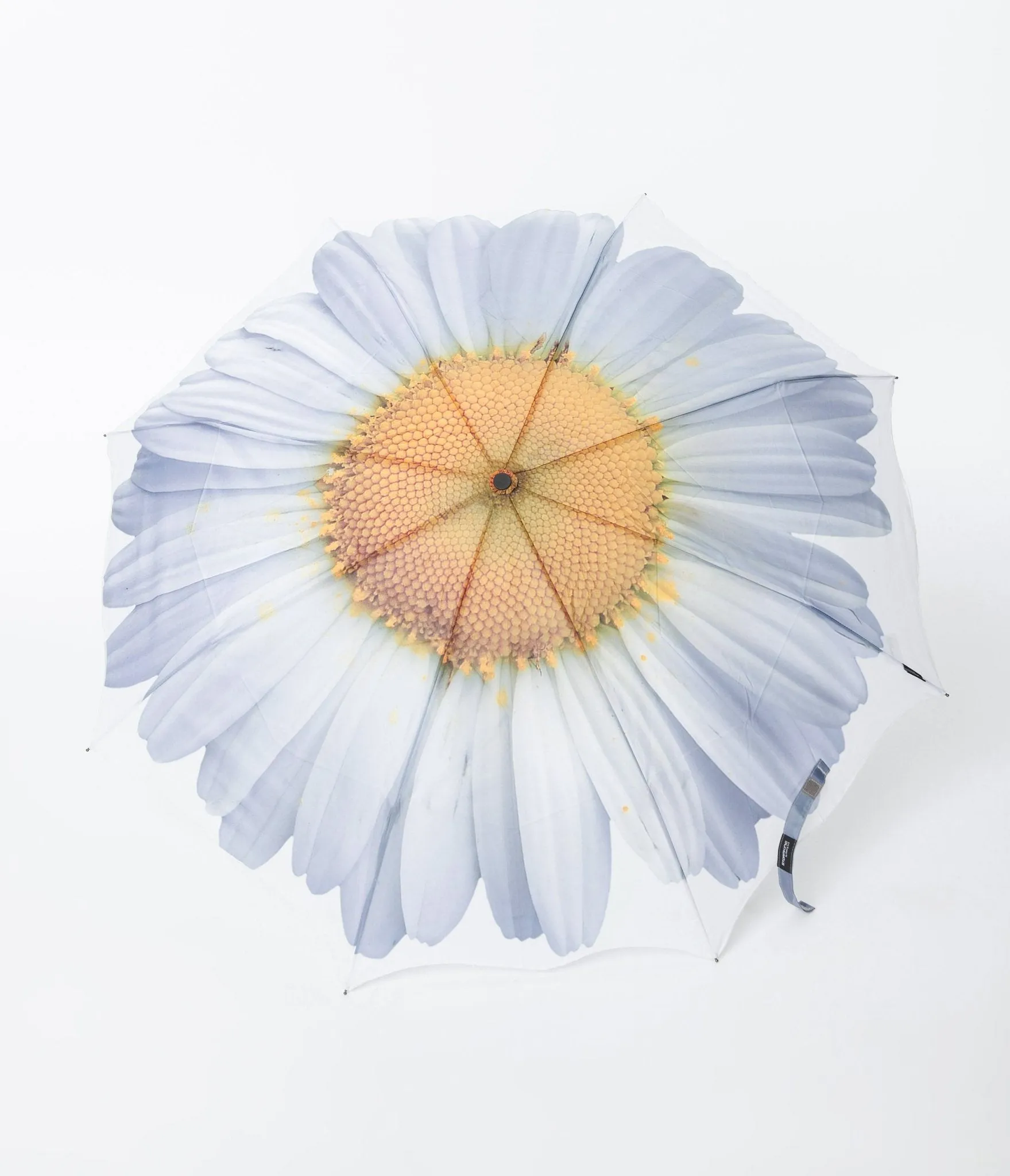 White Daisy Everyday Umbrella